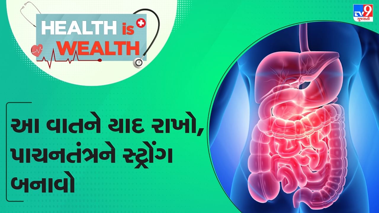 Health Wealth: પાચનક્રિયાને સારી રાખવા માટે આટલી વાતોનું રાખો ધ્યાન-Watch Video