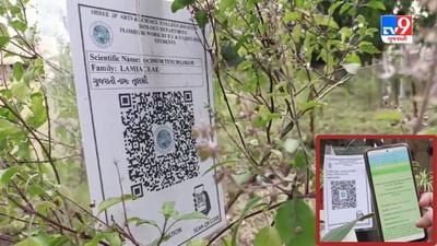 Bharuch Video : જેપી કોલેજમાં 2000 વૃક્ષનું Digitalization કરાયું, મોબાઈલની એક ક્લિક વનસ્પતિના ગુણ વર્ણવશે