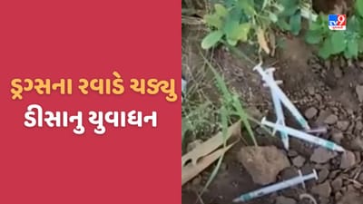 Banaskantha: ડીસાના સ્થાનિકો નશાખોરોથી પરેશાન, રોષે ભરાયેલા લોકોએ કાર્યવાહી કરવા કરી માંગ, જુઓ Video Banaskantha: ડીસાના સ્થાનિકો નશાખોરોથી પરેશાન, રોષે ભરાયેલા લોકોએ કાર્યવાહી કરવા કરી માંગ, જુઓ Video