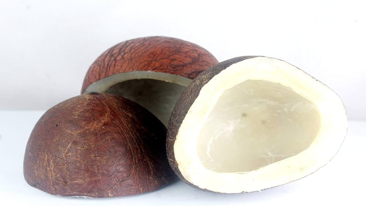 Dry Coconut Benefits and Side Effects રોગપ્રતિકારક શક્તિને મજબૂત બનાવે