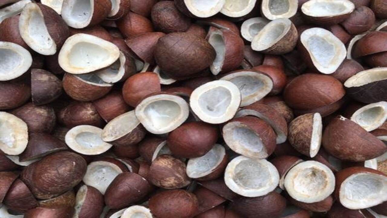 સૂકા નારિયેળનું વધુ માત્રામાં સેવન કરવાથી પેટ સંબંધિત સમસ્યાઓ થઈ શકે છે. જો તમે તેનું વધુ સેવન કરો છો, તો તેનાથી ઉલ્ટી અને પેટમાં દુખાવો થઈ શકે છે.