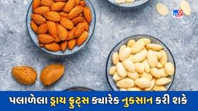 આ ભુલ કરશો તો પલાળેલા ડ્રાય ફ્રુટસ પણ કરી શકે છે નુકસાન આ ભુલ કરશો તો પલાળેલા ડ્રાય ફ્રુટસ પણ કરી શકે છે નુકસાન