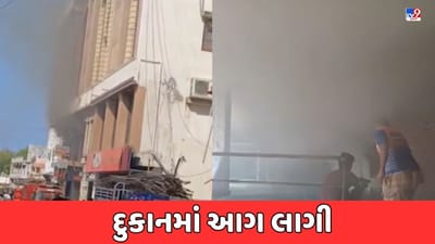 Devbhumi Dwarka Video: દ્વારકામાં મુખ્ય માર્ગ પર આવેલી દુકાનમાં લાગી આગ, સર્કિટના કારણે આગ લાગી હોવાનું અનુમાન Devbhumi Dwarka Video: દ્વારકામાં મુખ્ય માર્ગ પર આવેલી દુકાનમાં લાગી આગ, સર્કિટના કારણે આગ લાગી હોવાનું અનુમાન