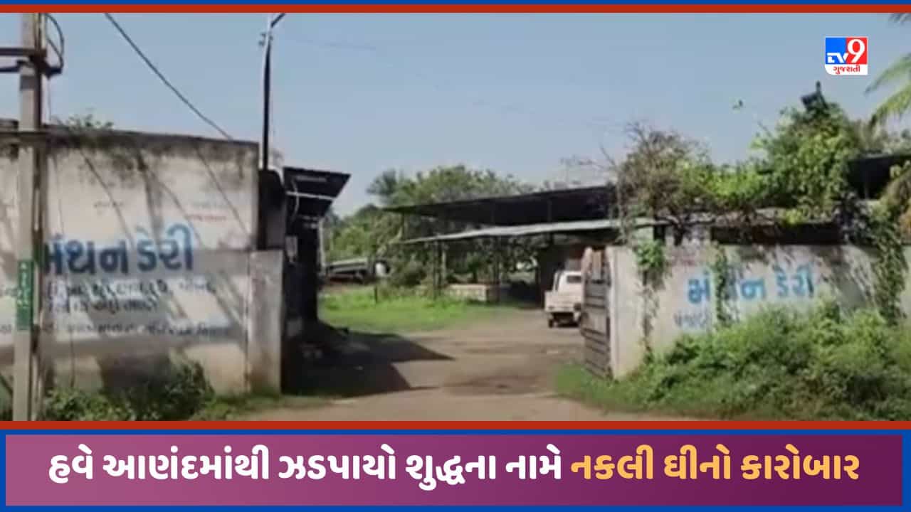 Anand: સુરત, જામનગર અને ખેડા બાદ હવે આણંદમાંથી શુદ્ધના નામે નકલી ઘીનો કારોબાર ઝડપાયો, જુઓ Video