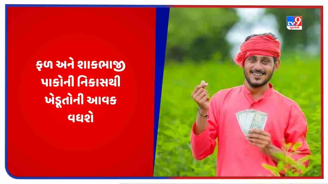 બાગાયતી પાકોની ખેતી કરતા ખેડૂતોની આવકમાં થશે વધારો, ફળ અને શાકભાજી પાકોની સરળતાથી થઈ શકશે વિદેશમાં નિકાસ