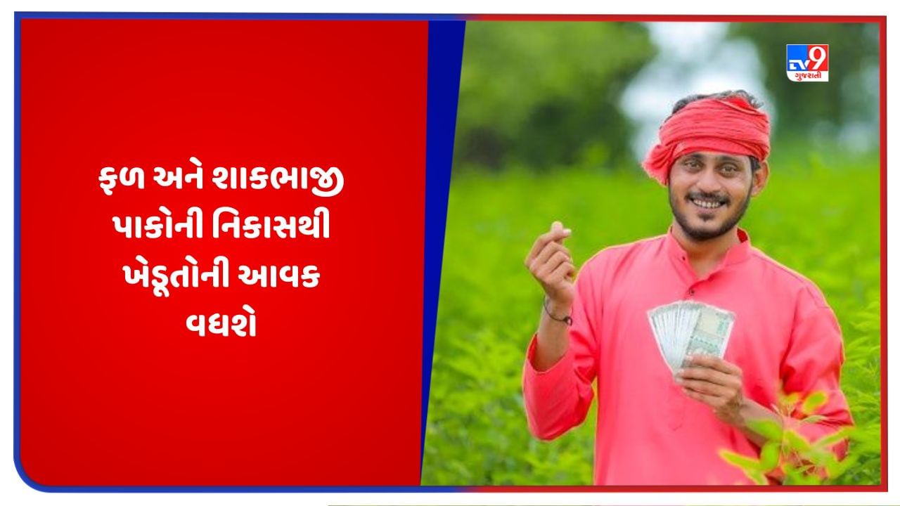 બાગાયતી પાકોની ખેતી કરતા ખેડૂતોની આવકમાં થશે વધારો, ફળ અને શાકભાજી પાકોની સરળતાથી થઈ શકશે વિદેશમાં નિકાસ