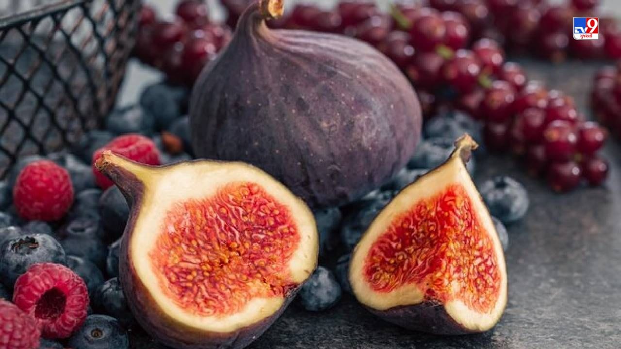 અંજીર ખાવાથી શરીરને ઘણા ફાયદા થાય છે. દિવસમાં 2-3 અંજીર ખાવાથી ખૂબ જ ફાયદો થાય છે. તેમાં રહેલું ફાઈબર પાચનતંત્રને મજબૂત બનાવે છે. 2-3 અંજીરમાં લગભગ 10-15 ગ્રામ ફાઇબર જોવા મળે છે. આ કબજિયાતની સમસ્યાને દૂર કરવામાં મદદ કરે છે અને પેટને સાફ રાખે છે. તેમાં કેલ્શિયમ, મેગ્નેશિયમ, આયર્ન, પોટેશિયમ વગેરે જેવા ઘણા મહત્વપૂર્ણ ખનિજો પણ હોય છે. (Photos : Freepik)