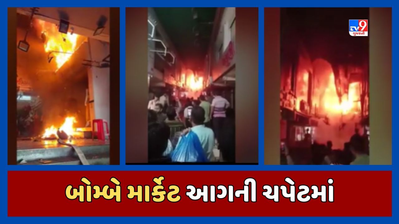 Surat Breaking News : સુરતમાં આવેલી જૂની બોમ્બે માર્કેટમાં કાપડની દુકાનમાં લાગી આગ, ફાયર ફાયટરની ટીમ પહોંચી ઘટનાસ્થળે