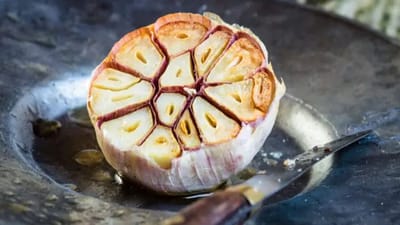 આજકાલ મોટાભાગના લોકો વધતી સ્થૂળતાથી પરેશાન છે, પરંતુ જો તમે દરરોજ સવારે ખાલી પેટ લસણનું સેવન કરો છો, તો તમારું વજન સરળતાથી નિયંત્રિત કરી શકાય છે.