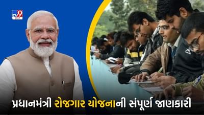 Govt Scheme : દરેક યુવાન કરી શકશે પોતાના ધંધાની શરૂઆત, પ્રધાનમંત્રી રોજગાર યોજનાનો લાભ લેવા આ રીતે કરો અરજી