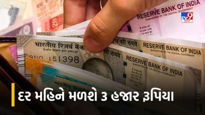 Govt Scheme : હવે દર મહિને સરકાર આપશે 3 હજાર રૂપિયા, આ રીતે કરો અરજી, જાણો સમગ્ર પ્રક્રિયા અને પાત્રતા