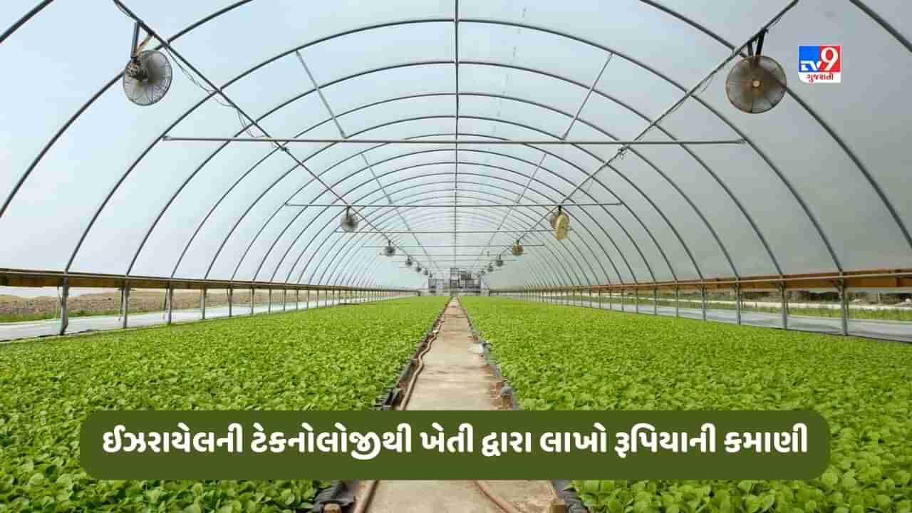 Success Story: ખેડૂતે ઈઝરાયેલની ટેકનોલોજીથી શરૂ કરી ખેતી, હવે કરે છે લાખો રૂપિયાની કમાણી