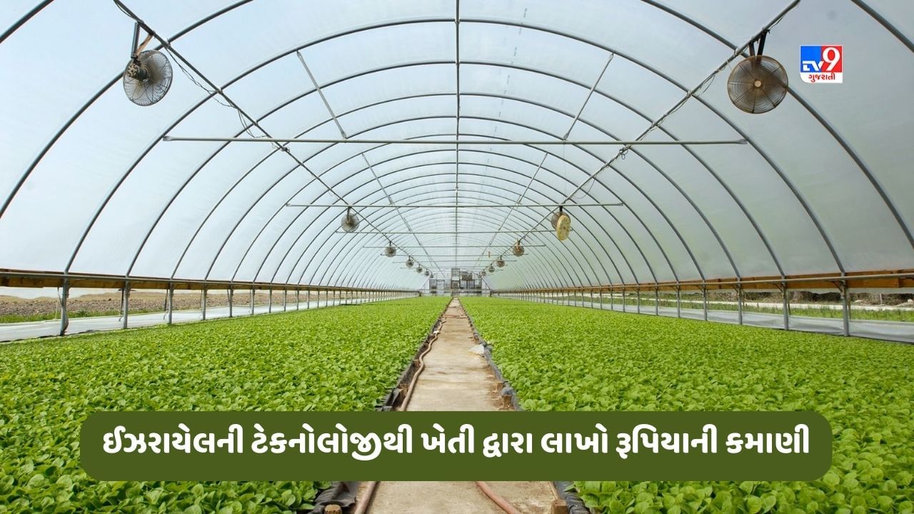 Success Story: ખેડૂતે ઈઝરાયેલની ટેકનોલોજીથી શરૂ કરી ખેતી, હવે કરે છે લાખો રૂપિયાની કમાણી