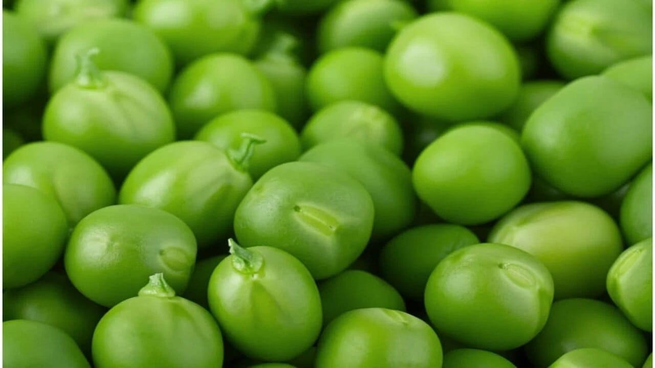 Green Peas Benefits And Side Effects રોગપ્રતિકારક શક્તિ વધારે છે