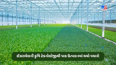 ઈઝરાયેલની કૃષિ ટેકનોલોજીના કારણે ફળ અને શાકભાજીના ઉત્પાદનમાં થયો વધારો, જાણો કેવી રીતે થાય છે આધુનિક પદ્ધતિથી ખેતી