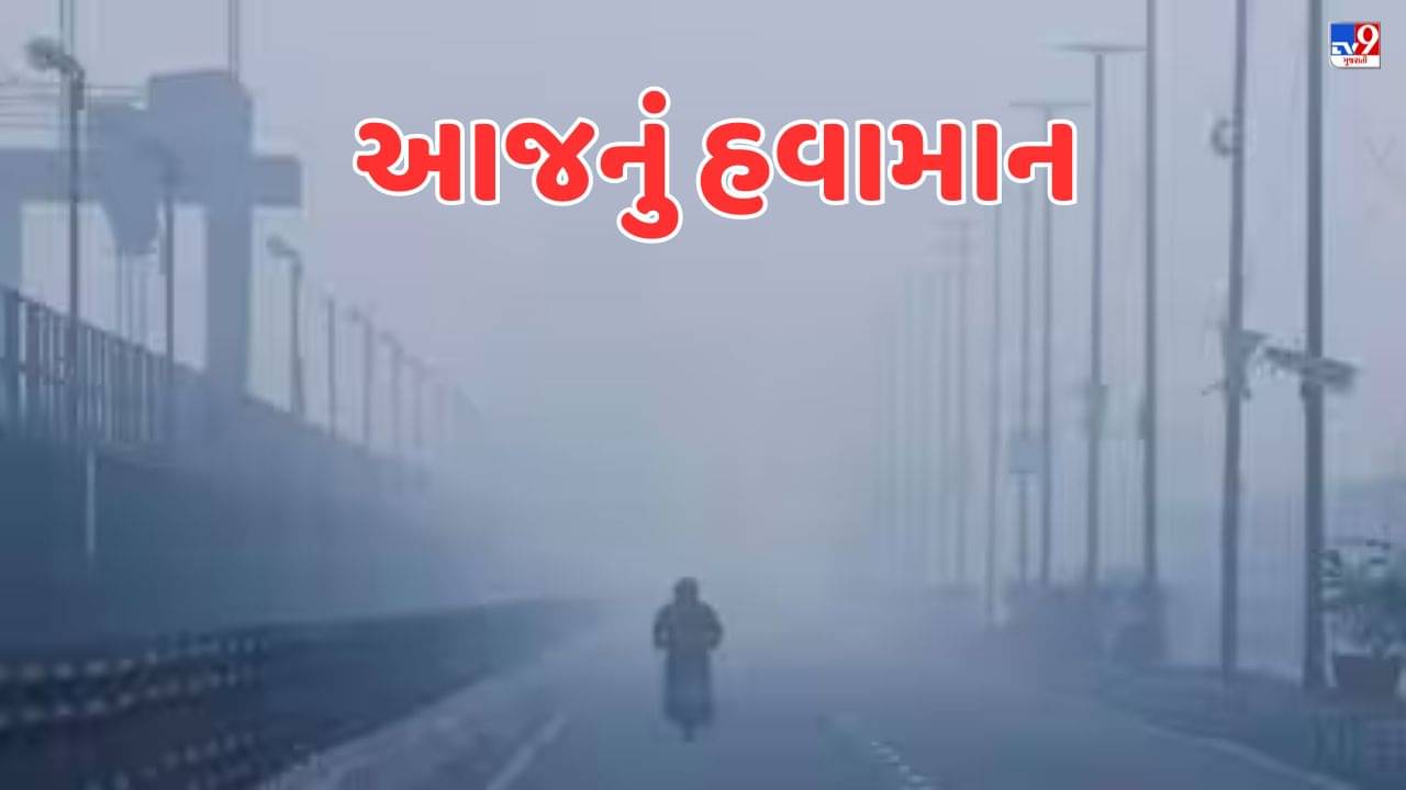 Gujarat Weather Forecast : રાજ્યભરમાં ગુલાબી ઠંડીની સંભાવના, જાણો ક્યા જિલ્લામાં કેટલુ રહેશે તાપમાન, જુઓ Video