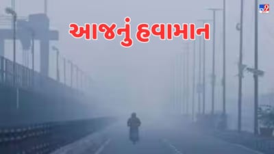 Gujarat Weather Forecast: આજથી દ્વારકા સહિત અનેક જિલ્લાઓમાં જોવા મળશે ઠંડીનો ચમકારો, જુઓ Video
