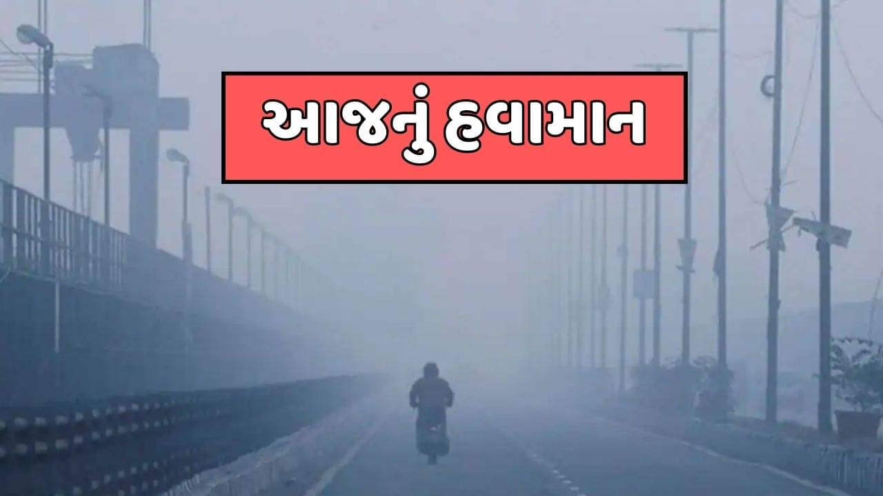 ગુજરાતનું હવામાન : પોરબંદર સહિત રાજ્યના અનેક જિલ્લાઓમાં જોવા મળશે ઠંડીનો ચમકારો, જુઓ વીડિયો