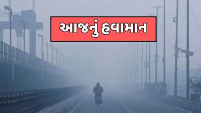 ગુજરાતનું હવામાન : પોરબંદર સહિત રાજ્યના અનેક જિલ્લાઓમાં જોવા મળશે ઠંડીનો ચમકારો, જુઓ વીડિયો ગુજરાતનું હવામાન : પોરબંદર સહિત રાજ્યના અનેક જિલ્લાઓમાં જોવા મળશે ઠંડીનો ચમકારો, જુઓ વીડિયો