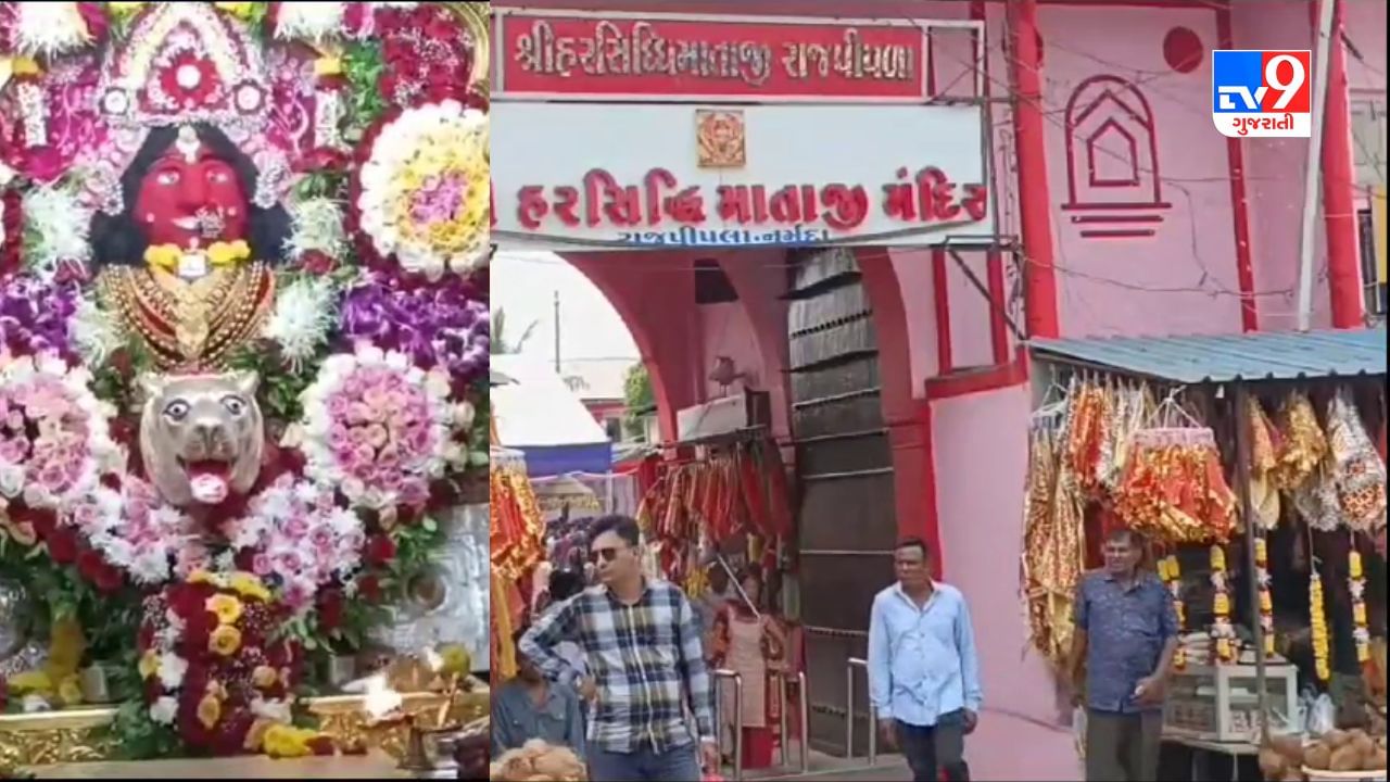 Narmada Video : સોના-ચાંદી હીરાજડિત રજવાડી આભૂષણોથી સજ્જ હરસિદ્ધિ માતાના કરો દર્શન, અનોખો ઇતિહાસ ધરાવતા મંદિરમાં નવરાત્રીમાં શ્રદ્ધાળુઓની ભીડઉમટી