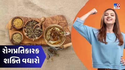 Health Tips : બદલાતા હવામાનમાં આ જડીબુટ્ટીઓ તમને વાયરલ રોગોથી બચાવશે, રોગપ્રતિકારક શક્તિ વધશે