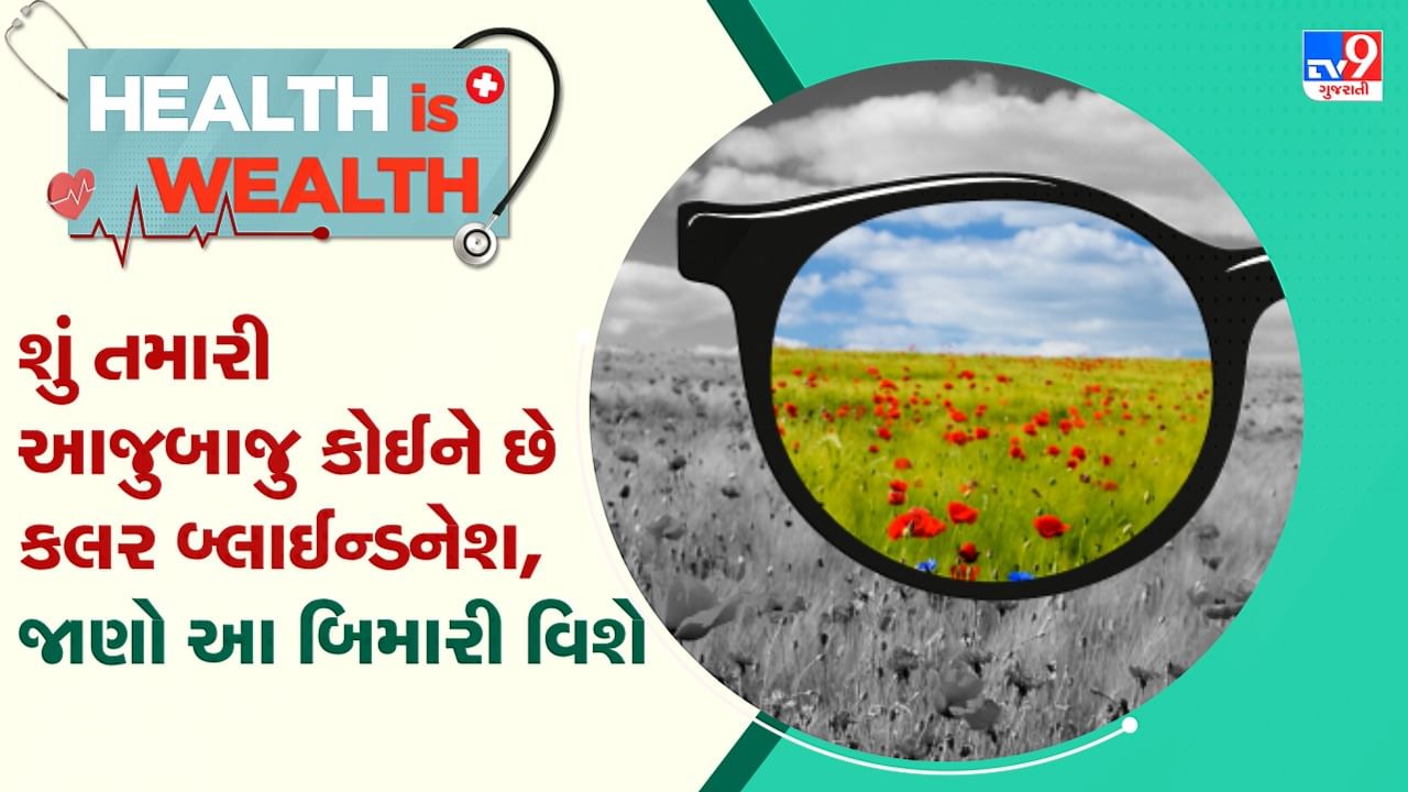 Health Wealth: કલર બ્લાઈન્ડનેશ શું છે, શા કારણે થાય છે, તેનાથી બચવા માટેના ઉપાયો જાણો-જુઓ વીડિયો