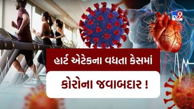 શું કોરોનાને કારણે વધી રહ્યા છે હાર્ટ એટેક ? નિષ્ણાતોનું શું માનવું છે, જુઓ વીડિયો શું કોરોનાને કારણે વધી રહ્યા છે હાર્ટ એટેક ? નિષ્ણાતોનું શું માનવું છે, જુઓ વીડિયો
