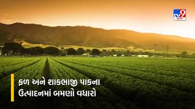 ગુજરાતમાં બાગાયતી પાકોના વાવેતર વિસ્તાર અને ઉત્પાદનમાં થયો વધારો, ફળ પાકમાં બમણો, શાકભાજીમાં ચાર ગણો થયો વધારો, જાણો વિગત