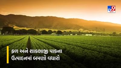 ગુજરાતમાં બાગાયતી પાકોના વાવેતર વિસ્તાર અને ઉત્પાદનમાં થયો વધારો, ફળ પાકમાં બમણો, શાકભાજીમાં ચાર ગણો થયો વધારો, જાણો વિગત