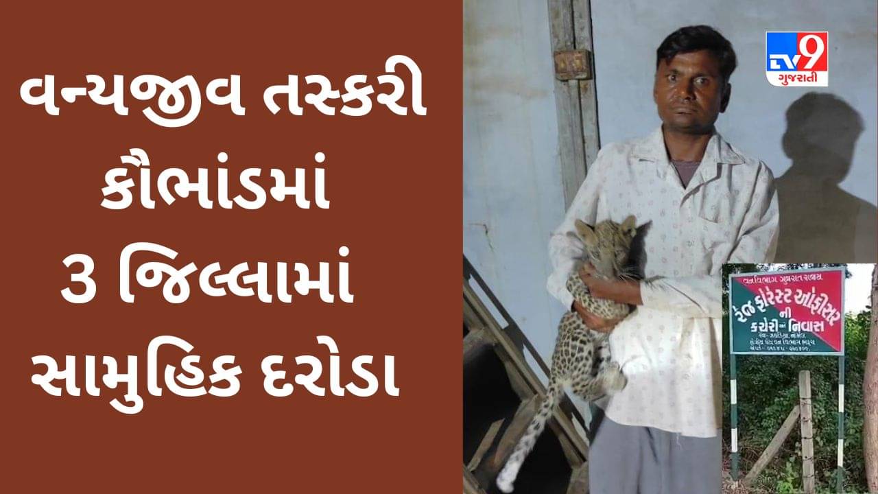 Bharuch Video : વન્યજીવની તસ્કરીના કૌભાંડમાં વનવિભાગે રાજ્યના ત્રણ જિલ્લાઓમાં સામુહિક દરોડા પાડ્યા