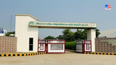 સાબરકાંઠા જિલ્લાના પ્રાંતિજ વિસ્તારમાં શાકભાજીની ખેતી ખૂબ જ સારા પ્રમાણમાં થાય છે. અહીંના ખેડૂતો કોબીજ અને ફલાવરની ખેતી સારા પ્રમાણમાં કરતા હોય છે. શાકભાજીના ખેડૂતોની ધગશ અને મહેનતને વધુ સારુ પરીણામ મળી રહે એ માટે ગુજરાત અને કેન્દ્ર સરકાર દ્વારા ઈઝરાયલ સરકારના સહયોગથી એક્સલન્સ સેન્ટર ખોલવામાં આવ્યુ છે.