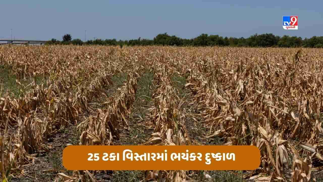 Iowa News: આયોવાના 25 ટકા વિસ્તારમાં ભયંકર દુષ્કાળ, જાન્યુઆરીના અંત સુધી સ્થિતિ યથાવત રહેવાની ધારણા