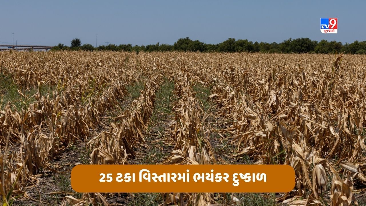 Iowa News: આયોવાના 25 ટકા વિસ્તારમાં ભયંકર દુષ્કાળ, જાન્યુઆરીના અંત સુધી સ્થિતિ યથાવત રહેવાની ધારણા