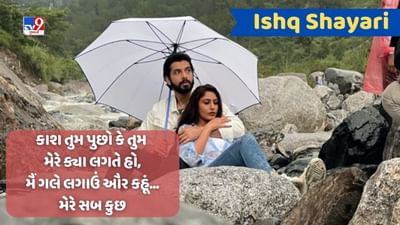 Ishq Shayari : જિંદગી કી હર શામ હસીન હો જાયે, અગર મેરી મોહબ્બત મુજે નસીબ હો જાયે