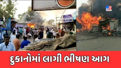 Kachchh : સામખીયાળીમાં ફાફડા-જલેબીની દુકાનમાં લાગી આગ, જુઓ Video Kachchh : સામખીયાળીમાં ફાફડા-જલેબીની દુકાનમાં લાગી આગ, જુઓ Video