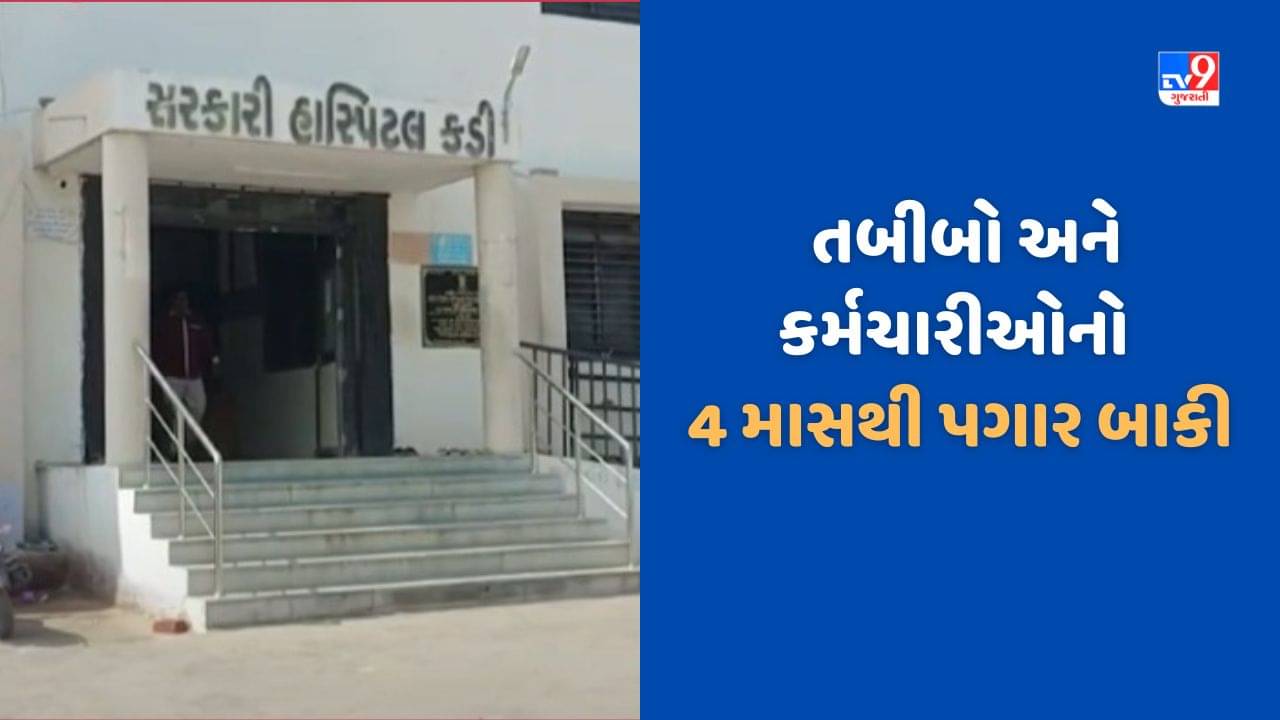 Mehsana: કડી સરકારી હોસ્પિટલના તબિબો અને કર્મચારીઓ હડતાળ પર ઉતરતા દર્દીઓને હાલાકી, 4 માસથી પગાર બાકી, જુઓ Video