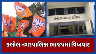 ગાંધીનગર વીડિયો : કલોલ નગરપાલિકામાં ચેરમેન પસંદગીનો વિવાદ વધુ વકર્યો, ભાજપના કુલ 12 કોર્પોરેટર્સના રાજીનામા