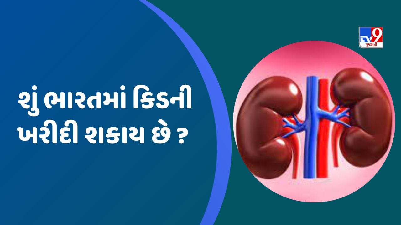 Kidney Sale In India: શું કિડની ખરીદી કે વેચી શકાય? જાણો કાયદો શું કહે છે અને નિયમો શું છે?