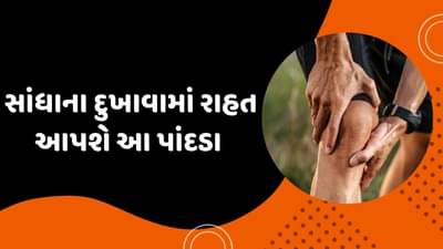 શિયાળો આવતા જ સાંધાનો દુખાવો શરૂ થઈ જાય છે! આ ત્રણ લીલા પાંદડા કરશે દવાનું કામ