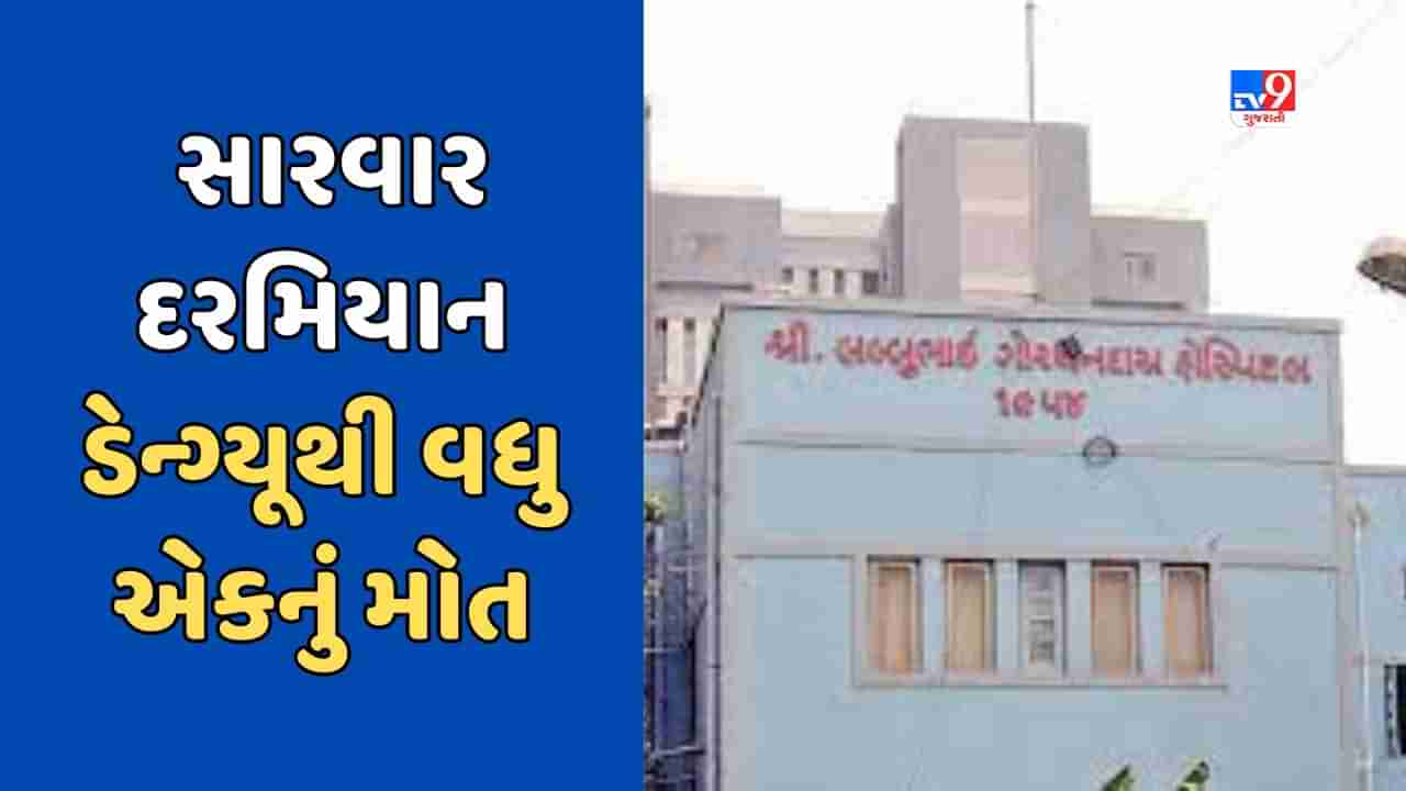 Ahmedabad Breaking News: Two deaths due to dengue in Ahmedabad in three days, 110 positive cases of dengue reported in 8 days