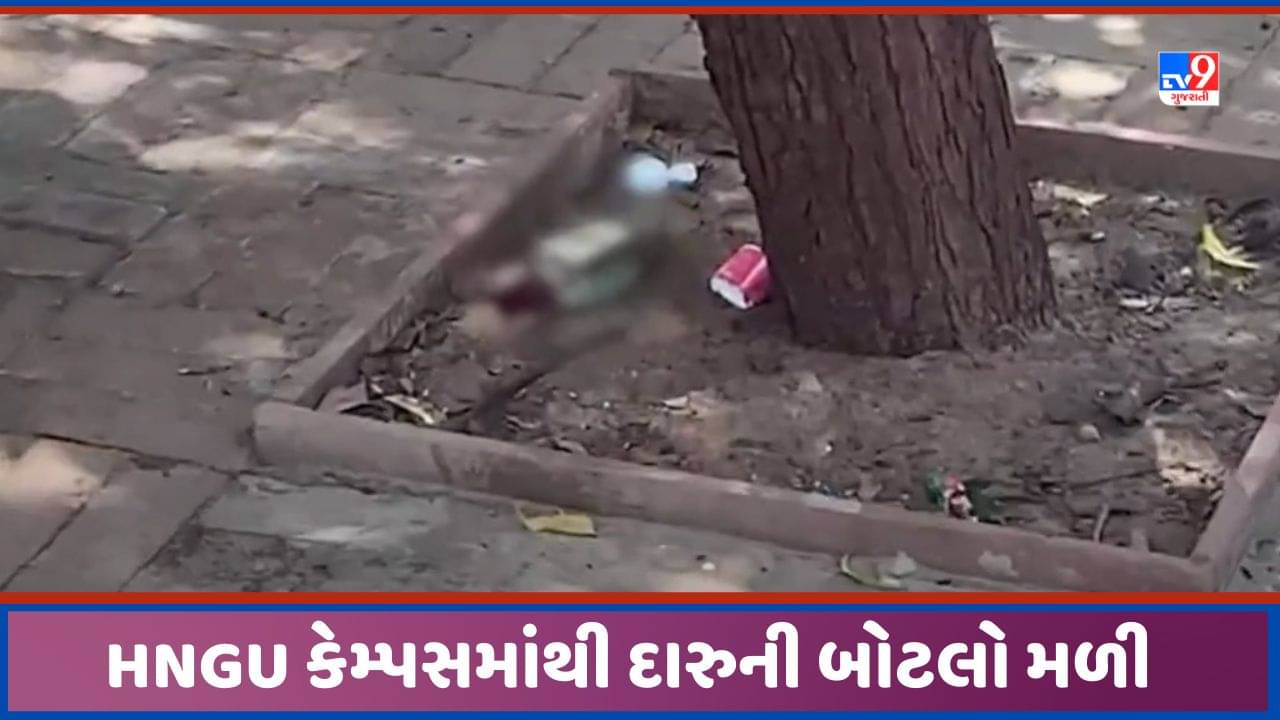 Patan: પાટણની ઉત્તર ગુજરાત યુનિવર્સિટી કેમ્પસમાંથી દારુની બોટલો મળી આવી, સર્જાયો  વિવાદ, જુઓ Video