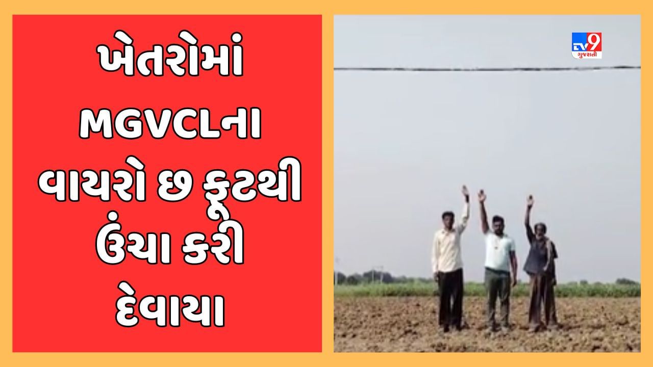 Vadodara : ડભોઇના ગામોમાં MGVCLના સ્ટાફે જોખમી વીજ વાયરોને ઊંચા લઇ લેતા ખેડૂતોને રાહત, જુઓ Video