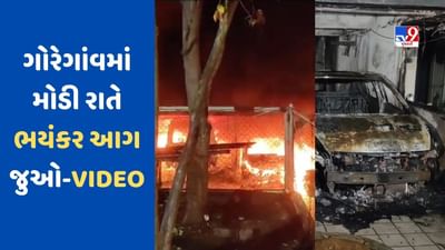 Mumbai Fire News: ગોરેગાંવની એક ઈમારતમાં લાગેલી આગમાં 7 લોકો બળીને ખાખ, 50 કરતા વધારે દાઝ્યા, જુઓ ભયંકર આગનો VIDEO Mumbai Fire News: ગોરેગાંવની એક ઈમારતમાં લાગેલી આગમાં 7 લોકો બળીને ખાખ, 50 કરતા વધારે દાઝ્યા, જુઓ ભયંકર આગનો VIDEO
