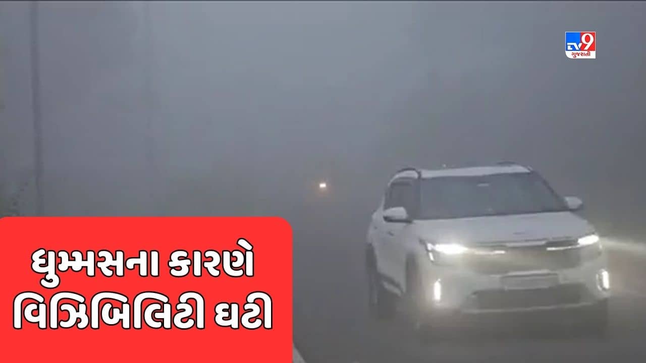 Mahisagar: સતત ત્રીજા દિવસે ધુમ્મસભર્યું વાતાવરણ, વહેલી સવારથી ધુમ્મસ છવાતા વિઝિબિલિટી ઘટી, જુઓ Video