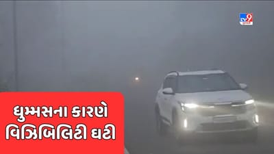 Mahisagar: સતત ત્રીજા દિવસે ધુમ્મસભર્યું વાતાવરણ, વહેલી સવારથી ધુમ્મસ છવાતા વિઝિબિલિટી ઘટી, જુઓ Video Mahisagar: સતત ત્રીજા દિવસે ધુમ્મસભર્યું વાતાવરણ, વહેલી સવારથી ધુમ્મસ છવાતા વિઝિબિલિટી ઘટી, જુઓ Video