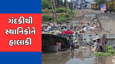 Mahisagar : લુણાવાડામાં ગંદકીનું સામ્રાજ્ય, રસ્તા પર કચરાના ઢગલાથી સ્થાનિકો પરેશાન, જુઓ Video Mahisagar : લુણાવાડામાં ગંદકીનું સામ્રાજ્ય, રસ્તા પર કચરાના ઢગલાથી સ્થાનિકો પરેશાન, જુઓ Video