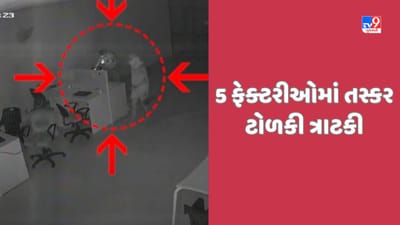 Mehsana: કડી નજીક 5 ફેક્ટરીઓ પર ચડ્ડી બનિયાન ધારી ટોળકી ત્રાટકી, પથ્થર મારો કરતા સિક્યુરિટી ગાર્ડને ઈજા, જુઓ CCTV Video Mehsana: કડી નજીક 5 ફેક્ટરીઓ પર ચડ્ડી બનિયાન ધારી ટોળકી ત્રાટકી, પથ્થર મારો કરતા સિક્યુરિટી ગાર્ડને ઈજા, જુઓ CCTV Video