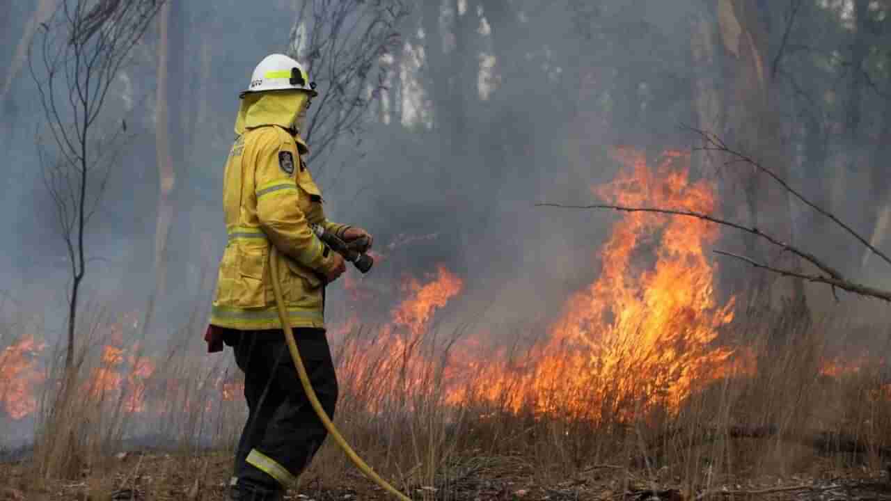 Melbourne News: List of vulnerable fire risk locations announced