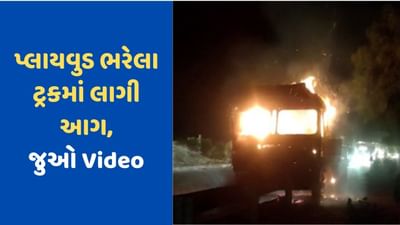 Morbi News: હળવદ પાસે પ્લાયવુડ ભરેલા ટ્રકમાં લાગી આગ, જુઓ Video