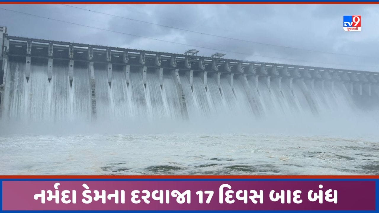 Narmada Dam: નર્મદા ડેમના દરવાજા 17 દિવસ બાદ બંધ કરાયા, જાણો સરદાર સરોવરની જળસ્થિતિ, જુઓ Video Narmada Dam: નર્મદા ડેમના દરવાજા 17 દિવસ બાદ બંધ કરાયા, જાણો સરદાર સરોવરની જળસ્થિતિ, જુઓ Video